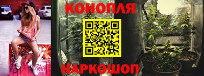 соль ск Лесосибирск